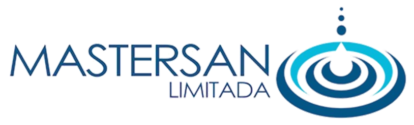 Mastersan Limitada, inicio